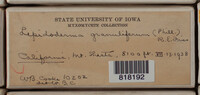 Image Associated With the Occurence
